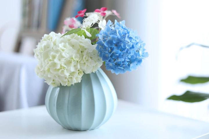 3種のアジサイのアレンジ