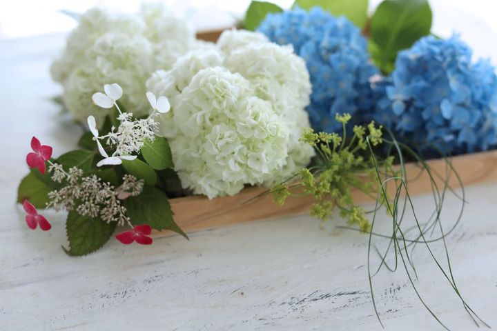 3種のアジサイのアレンジ