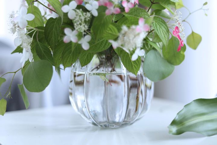 ヤマアジサイとユーカリのアレンジ