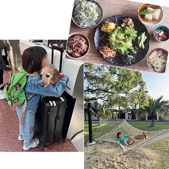 ランチ、子どもと犬、ハンモックでくつろぐ子どもの写真