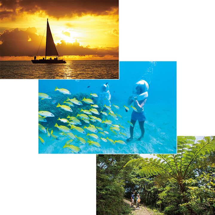 アクティビティも豊富