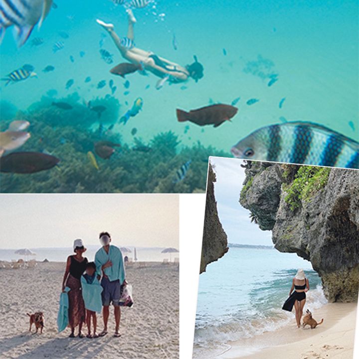 ビーチでの様子