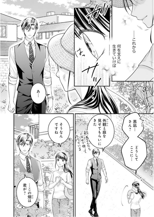 君はシンデレラ～孤高な御曹司が絶え間なく愛を注ぐ理由～【財閥御曹司シリーズ】 1 君はシンデレラ～孤高な御曹司が絶え間なく愛を注ぐ理由～【財閥