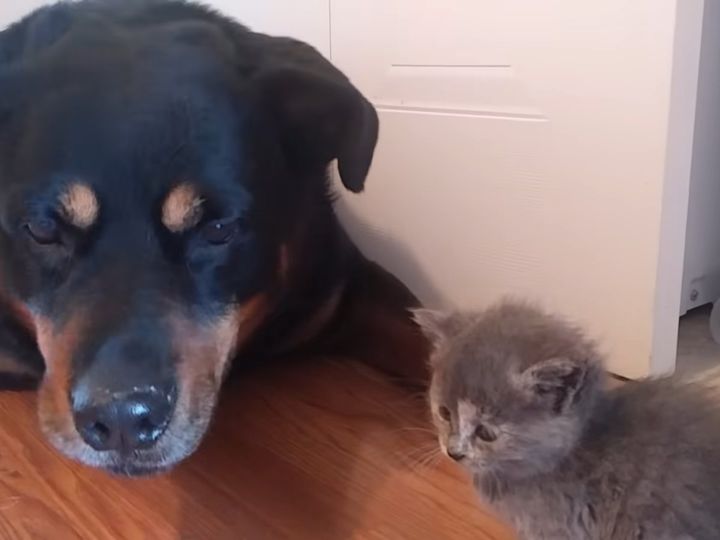 切ない距離感…！