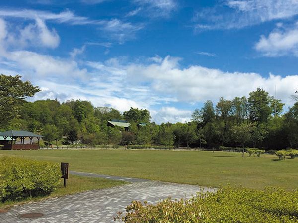 そんな使い方あり!?ダイソーアイテムの”じゃない”画期的な使い方が天才的すぎる！