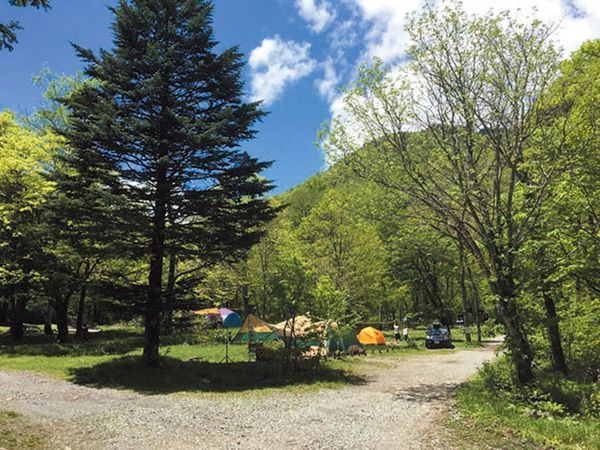 そんな使い方あり!?ダイソーアイテムの”じゃない”画期的な使い方が天才的すぎる！