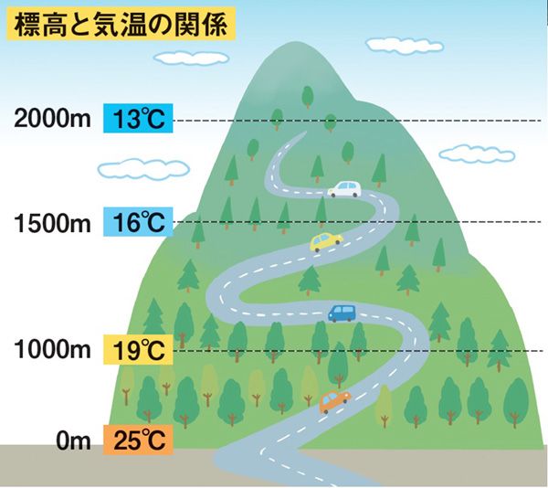 キャリーワゴンはソロキャンプに必要？正しい使い方とメリットを徹底検証！