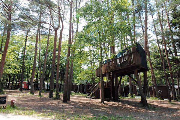 キャリーワゴンはソロキャンプに必要？正しい使い方とメリットを徹底検証！