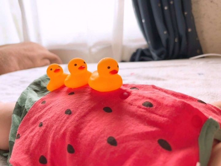 隊長「我につづけ～！」（画像はりこ＠butasantissueさんの投稿より）