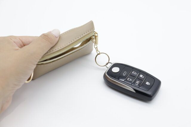 ダイソー 窓付スマートキーケース 車のカギ