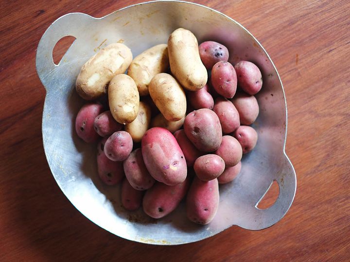 収穫したジャガイモ