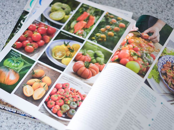 いろいろなトマト