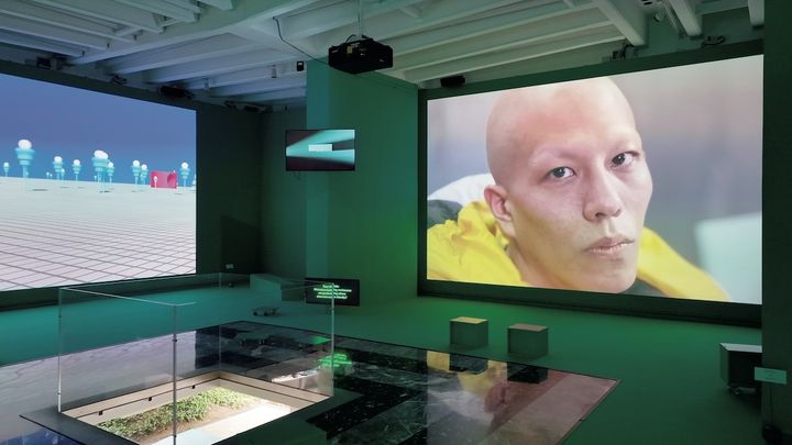 上階で展開される映像インスタレーション。日本館の建築要素（「穴」「柱」「壁」「煉瓦テラス」「階段庇」「動線リング」「イチイの木」）が登場し人間と対話を交わす。左手前が「穴」。