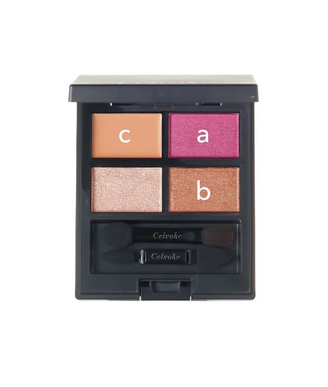 セルヴォーク ヴァティック アイパレット 10