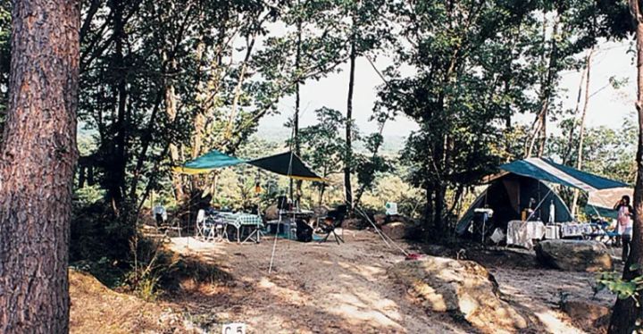 上級者がおすすめ！ファミリーキャンプで使える優秀すぎるソフトクーラー5選