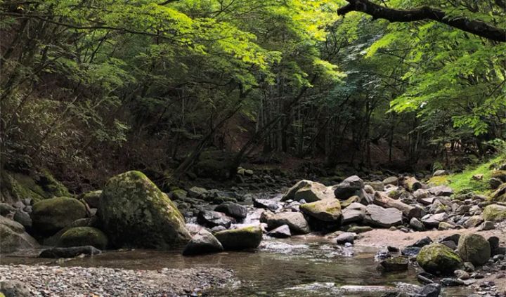 上級者がおすすめ！ファミリーキャンプで使える優秀すぎるソフトクーラー5選