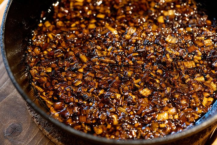 「キノコテント!?」わずか1分で設営完了！設営が簡単すぎるおすすめテント4選