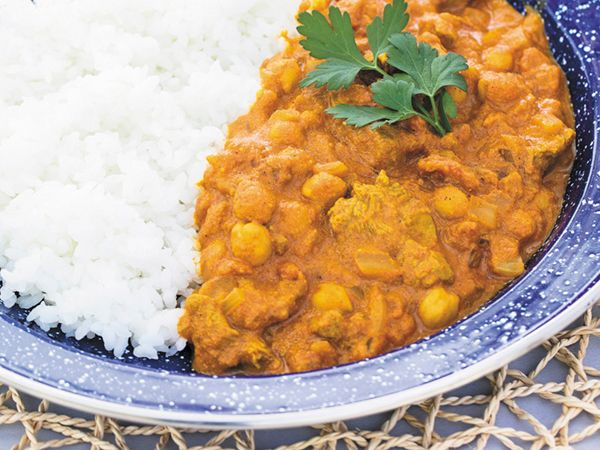 「キノコテント!?」わずか1分で設営完了！設営が簡単すぎるおすすめテント4選