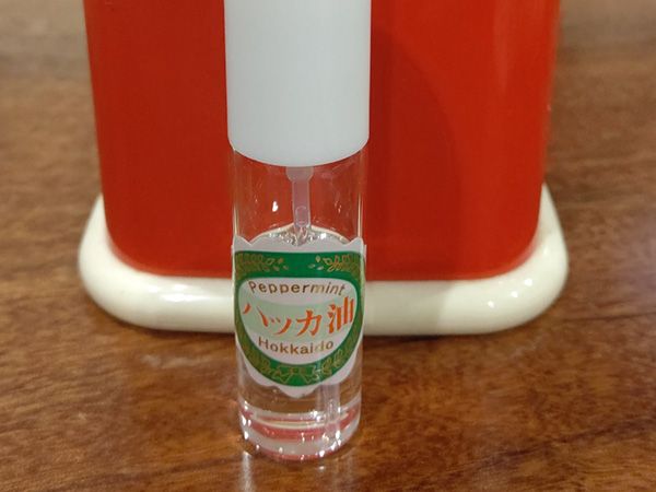 「買わないと損！」“地面の悩み”から開放される新発想のテントが快適すぎる！