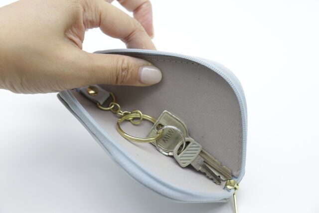 ダイソー マルチキーケース（ピンク、ブルー） キーリング