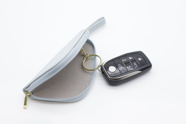 ダイソー マルチキーケース（ピンク、ブルー） キーリング スマートキー