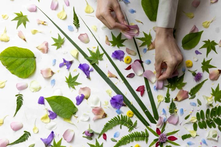 庭師と共に集めた山野草を、心の赴くままに選び、まんだら模様のように並べていく「花まんだら並べ」も体験