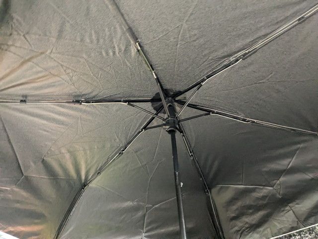 ネストローブ×リンネル