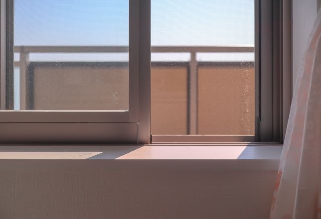 窓と網戸と外の景色