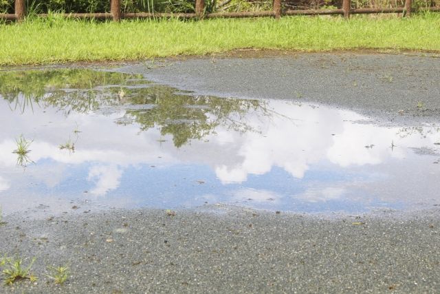 晴れ模様 草と水たまりとそこに映る空