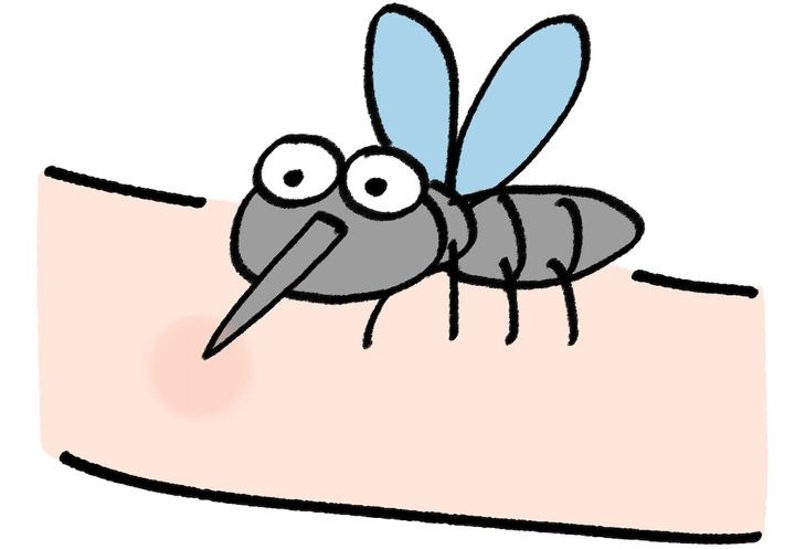 人間の腕の血を吸う蚊のイラスト