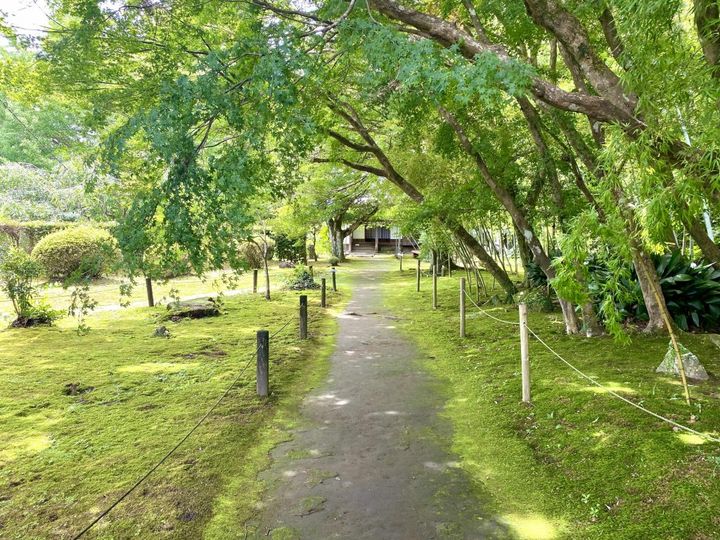 重要伝統的建造物群保存地区「飫肥」の歴史が生んだ無添加の宮崎銘菓「飫肥せんべい」【旅するデザイナーがおすすめするお土産たち！】