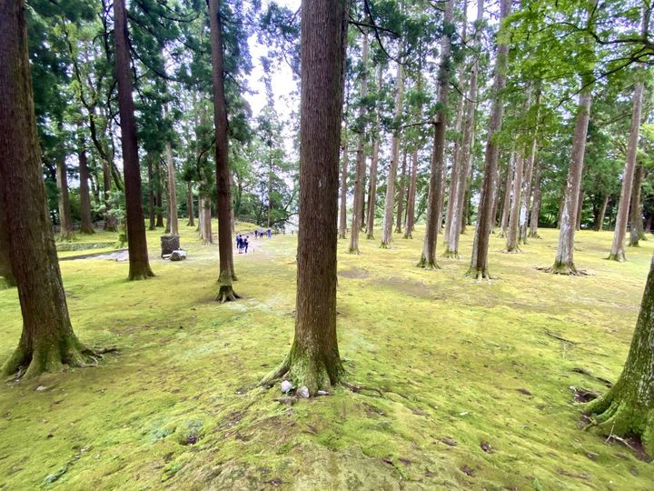 重要伝統的建造物群保存地区「飫肥」の歴史が生んだ無添加の宮崎銘菓「飫肥せんべい」【旅するデザイナーがおすすめするお土産たち！】