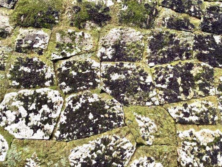 重要伝統的建造物群保存地区「飫肥」の歴史が生んだ無添加の宮崎銘菓「飫肥せんべい」【旅するデザイナーがおすすめするお土産たち！】