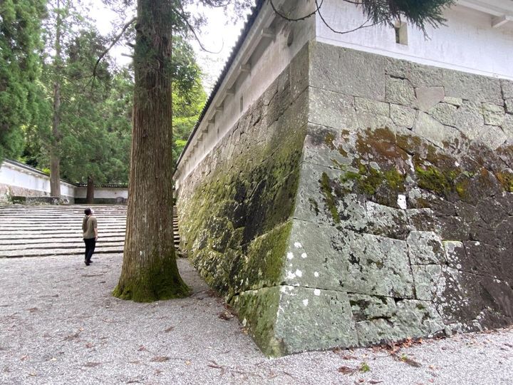 重要伝統的建造物群保存地区「飫肥」の歴史が生んだ無添加の宮崎銘菓「飫肥せんべい」【旅するデザイナーがおすすめするお土産たち！】