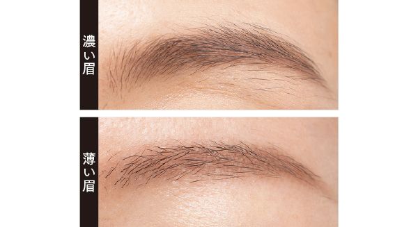 濃い眉、薄い眉／スタイリング アイゾーン コンパクトN 02