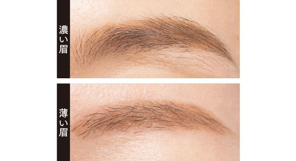 濃い眉、薄い眉／HBL 3Dクッションブロウ 01