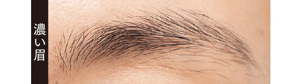 濃い眉 ELANさん