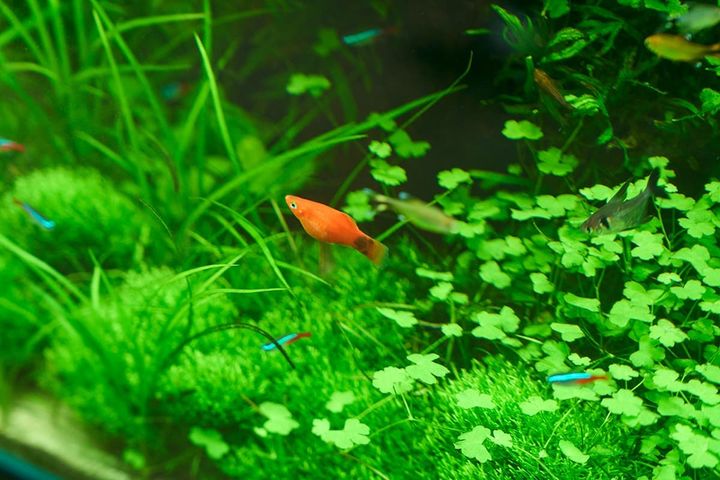 生き物の息吹と自然の循環を体感してみよう