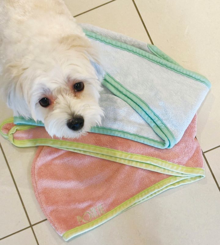 長谷川ミラ連載