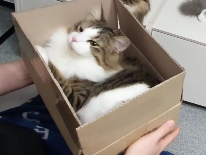 このうれしそうな顔！