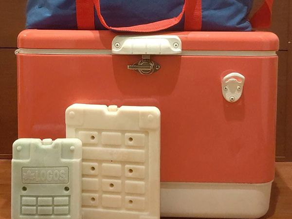 「子どもも嫌がらない！」着けるだけでオシャレで可愛い虫よけリングが優秀すぎる！