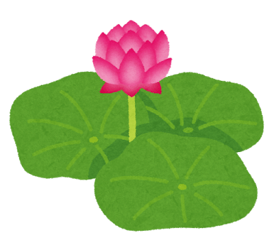 蓮の花のイラスト