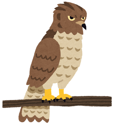 鋭い目つきの鷹のイラスト