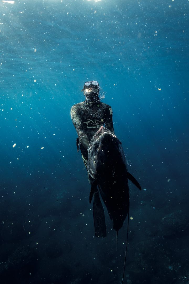 イソマグロが回遊するのは激流が渦巻くエリア