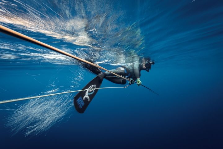 スピアフィッシングでは水中銃の使用も許されるが、小坂さんは手銛一本