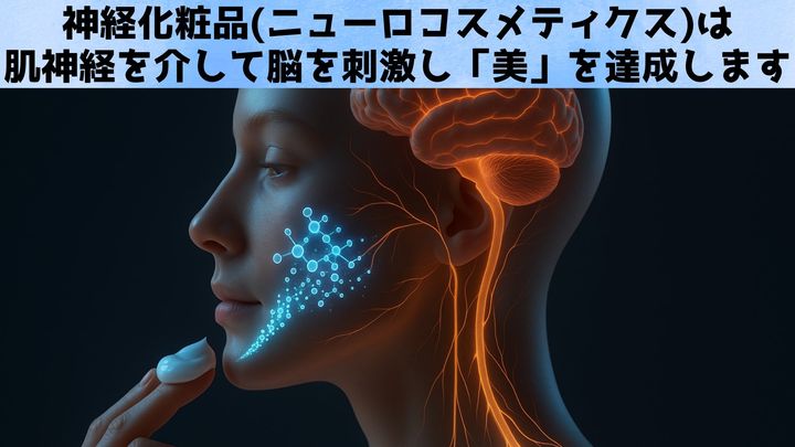 「神経化粧品」は皮膚から脳を逆刺激し本当の「美」の達成を目指す