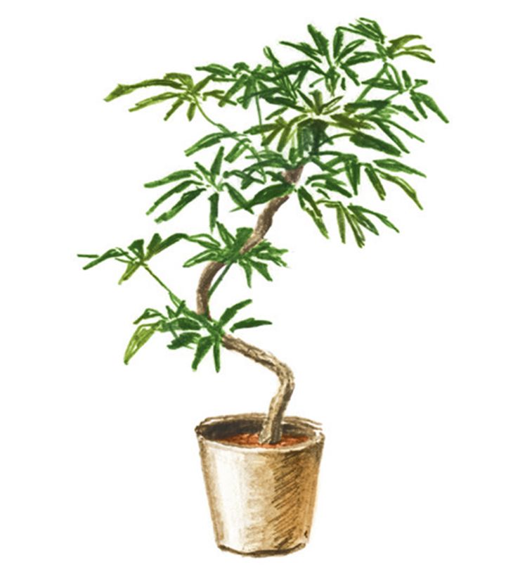 シンボリックに飾れて存在感抜群。