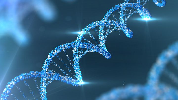 木々の遺伝子が今まさに動いている