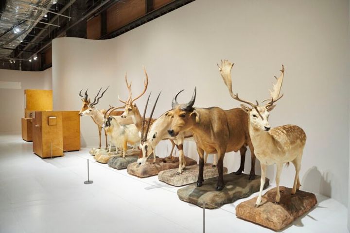 ©Masahiro Sambe / 撮影：三部正博