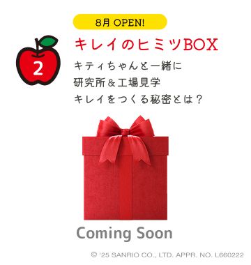 Beauty BOX02